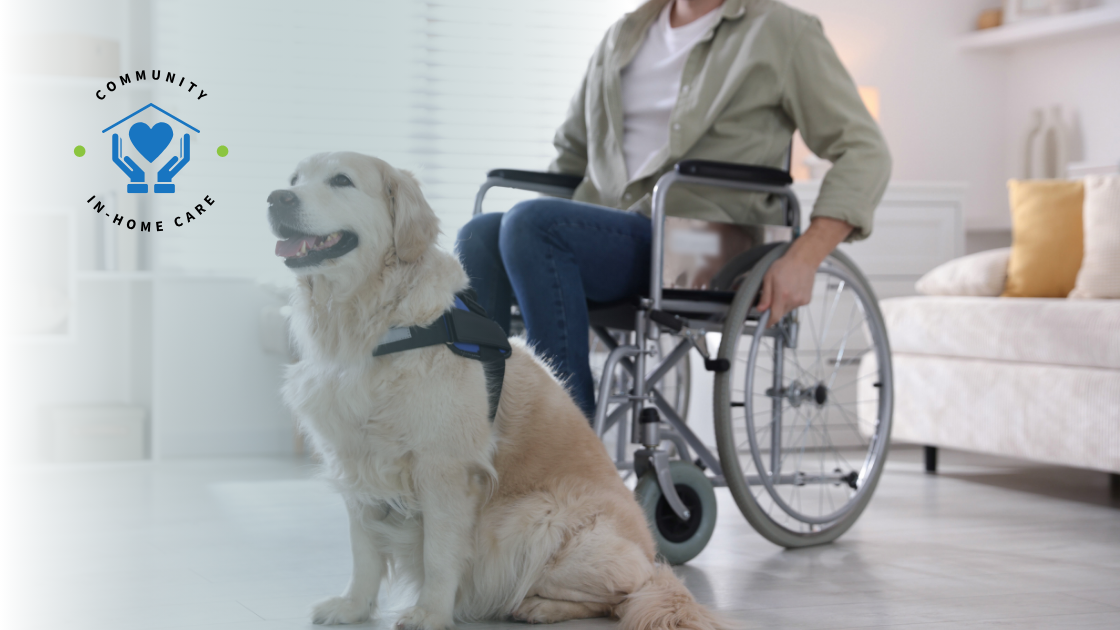 Adult wheelchair user with a service dog at home, representing in-home care and disability support in Indiana